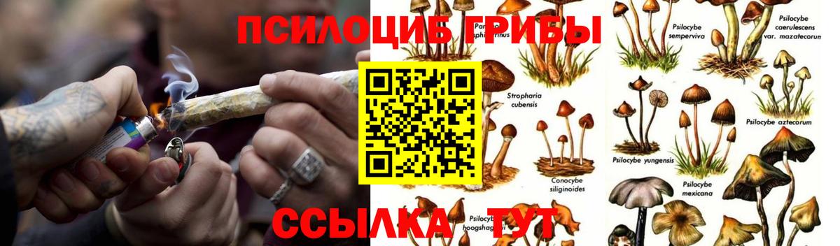 Галлюциногенные грибы мухоморы Надым