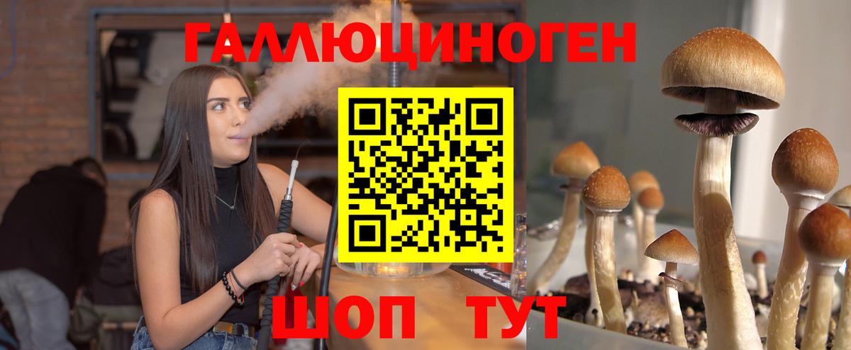 Галлюциногенные грибы прущие грибы  Вход с VPN  Надым 