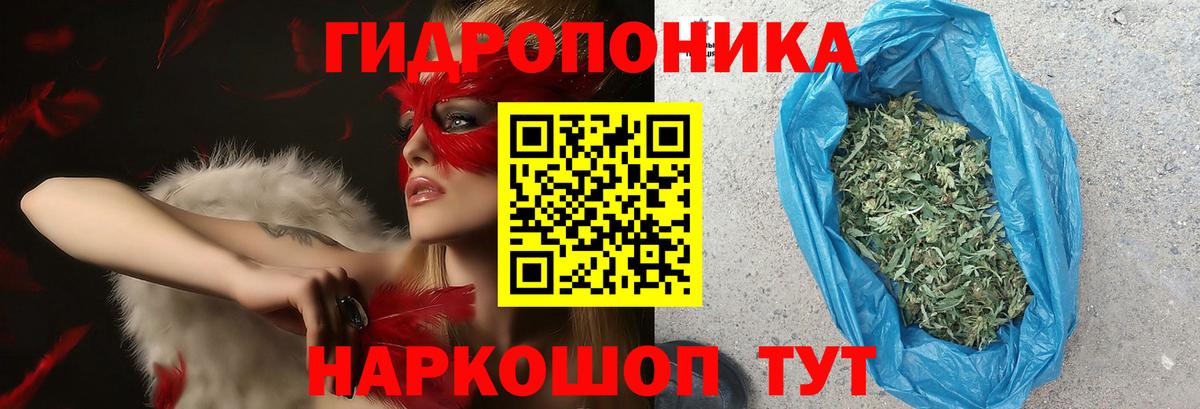 Марихуана Bruce Banner  Вход с VPN  Надым  Шишки марихуана OG Kush  Бошки марихуана White Widow 